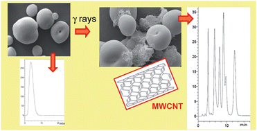 Graphical abstract: Radiation-induced grafting of carbon nanotubes on HPLC silica microspheres: theoretical and practical aspects