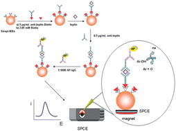 Graphical abstract: A disposable electrochemical immunosensor for the determination of leptin in serum and breast milk