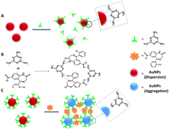 Graphical abstract: Melamine modified gold nanoprobe for “on-spot” colorimetric recognition of clonazepam from biological specimens