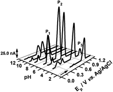 Graphical abstract: Electrochemical study of ricin at glassy carbon electrode