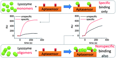 Graphical abstract: Development of a label-free aptasensor for monitoring the self-association of lysozyme
