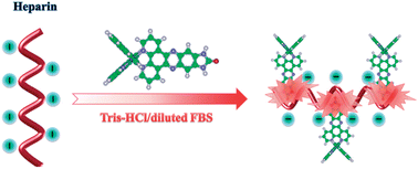 Graphical abstract: A new fluorescence “switch on” assay for heparin detection by using a functional ruthenium polypyridyl complex