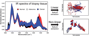 Graphical abstract: Improving the classification accuracy for IR spectroscopic diagnosis of stomach and colon malignancy using non-linear spectral feature extraction methods