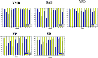 Graphical abstract: FTIR spectroscopic characterization of differently cultivated food related yeasts