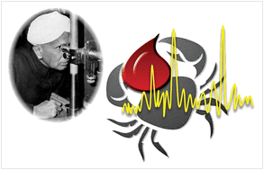 Graphical abstract: Raman spectroscopy of serum: an exploratory study for detection of oral cancers