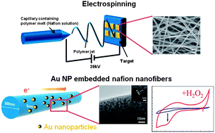 Graphical abstract: Gold nanoparticle-composite nanofibers for enzymatic electrochemical sensing of hydrogen peroxide