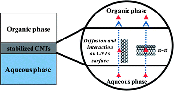 Graphical abstract: Liquid–liquid extraction assisted by a carbon nanoparticles interface. Electrophoretic determination of atrazine in environmental samples