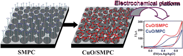 Graphical abstract: Preparation of copper oxide anchored on surfactant-functionalized macroporous carbon composite and its electrochemical applications