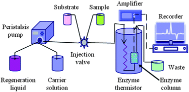 Graphical abstract: Fast detection of atrazine in corn using thermometric biosensors