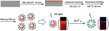Graphical abstract: Fluorescence quenching in luminescent porous silicon nanoparticles for the detection of intracellular Cu2+