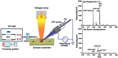 Graphical abstract: Non-contact halogen lamp heating assisted LTP ionization miniature rectilinear ion trap: a platform for rapid, on-site explosives analysis