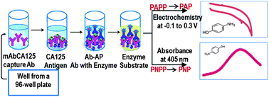 Graphical abstract: Dual detection of cancer biomarker CA125 using absorbance and electrochemical methods