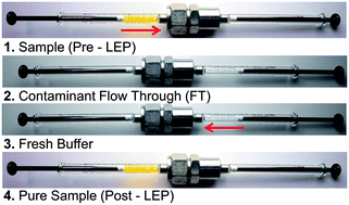 Graphical abstract: Functionalized liposome purification via Liposome Extruder Purification (LEP)