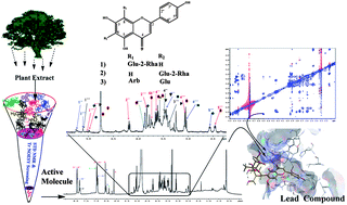 Graphical abstract: Crude to leads: a triple-pronged direct NMR approach in coordination with docking simulation