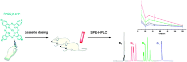 Graphical abstract: A novel SPE-HPLC method for simultaneous determination of selected sulfonated phthalocyanine zinc complexes in mouse plasma following cassette dosing