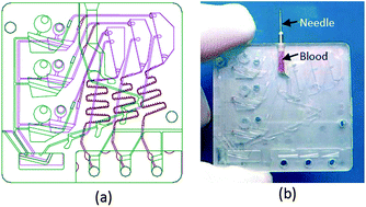 Graphical abstract: Colorimetric microchip assay using our own whole blood collected by a painless needle for home medical care