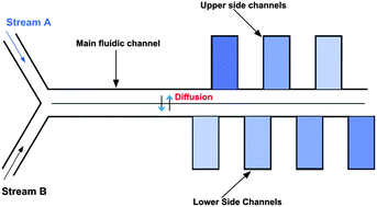 Graphical abstract: Generation of a chemical gradient across an array of 256 cell cultures in a single chip