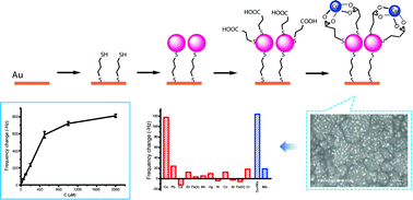 Graphical abstract: Gold nanoparticle-sensitized quartz crystal microbalance sensor for rapid and highly selective determination of Cu(ii) ions