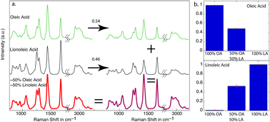 Graphical abstract: Direct comparison of fatty acid ratios in single cellular lipid droplets as determined by comparative Raman spectroscopy and gas chromatography