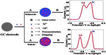 Graphical abstract: Anodic stripping voltammetric determination of cadmium using a “mercury free” indium film electrode