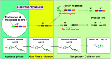 Graphical abstract: Understanding collision-induced dissociation of dofetilide: a case study in the application of density functional theory as an aid to mass spectral interpretation