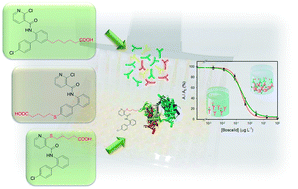 Graphical abstract: Design and development of heterologous competitive immunoassays for the determination of boscalid residues