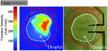 Graphical abstract: Optimization of microfluidic PET tracer synthesis with Cerenkov imaging