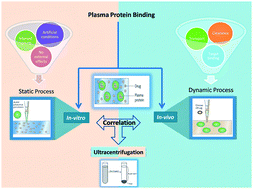 Graphical abstract: Correlation of in vitro and in vivo plasma protein binding using ultracentrifugation and UPLC-tandem mass spectrometry