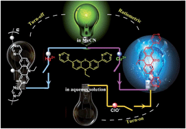 Graphical abstract: Multi-functional fluorescent probe for Hg2+, Cu2+ and ClO− based on a pyrimidin-4-yl phenothiazine derivative