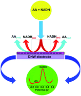 Graphical abstract: Mediatorless N2 incorporated diamond nanowire electrode for selective detection of NADH at stable low oxidation potential