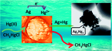 Graphical abstract: Submicron silica spheres decorated with silver nanoparticles as a new effective sorbent for inorganic mercury in surface waters