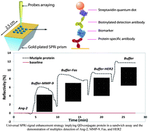 Graphical abstract: Design of a universal biointerface for sensitive, selective, and multiplex detection of biomarkers using surface plasmon resonance imaging