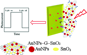 Graphical abstract: A visible light photoelectrochemical sensor for tumor marker detection using tin dioxide quantum dot–graphene as labels