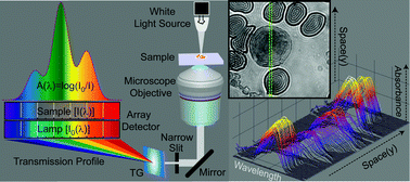 Graphical abstract: Spectrally resolved optical microscopy using a transmission grating spectrograph: importance of spatial selection