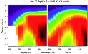 Graphical abstract: MALDI mechanisms: wavelength and matrix dependence of the coupled photophysical and chemical dynamics model