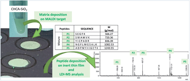 Graphical abstract: Laser desorption ionization mass spectrometry of peptides on a hybrid CHCA organic–inorganic matrix