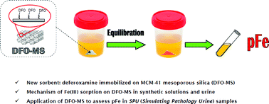 Graphical abstract: Novel DFO-functionalized mesoporous silica for iron sensing. Part 2. Experimental detection of free iron concentration (pFe) in urine samples