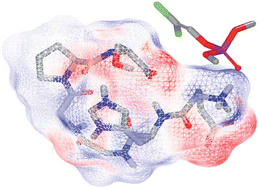 Graphical abstract: Design, synthesis and characterization of a hexapeptide bio-inspired by acetylcholinesterase and its interaction with pesticide dichlorvos