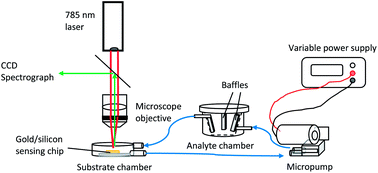 Graphical abstract: Trace vapour detection at room temperature using Raman spectroscopy