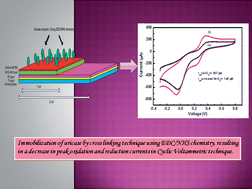 Graphical abstract: Effect of processing parameters for electrocatalytic properties of SnO2 thin film matrix for uric acid biosensor