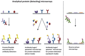 Graphical abstract: Protein microarray technology: how far off is routine diagnostics?