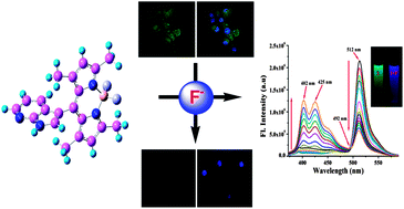 Graphical abstract: Ratiometric sensing of fluoride and acetate anions based on a BODIPY-azaindole platform and its application to living cell imaging