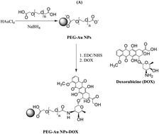 Graphical abstract: Amplified plasmonic detection of DNA hybridization using doxorubicin-capped gold particles