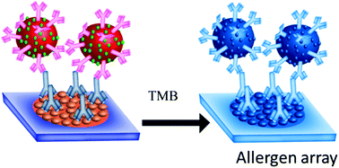 Graphical abstract: A lateral flow paper microarray for rapid allergy point of care diagnostics