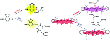 Graphical abstract: Fluorescent sensors for selective detection of thiols: expanding the intramolecular displacement based mechanism to new chromophores