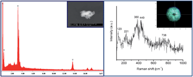 Graphical abstract: In-SEM Raman microspectroscopy coupled with EDX – a case study of uranium reference particles