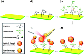 Graphical abstract: Ultrasensitive trace analysis for 2,4,6-trinitrotoluene using nano-dumbbell surface-enhanced Raman scattering hot spots