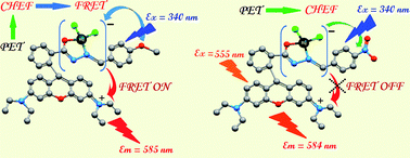 Graphical abstract: Effect of substituents on FRET in rhodamine based chemosensors selective for Hg2+ ions