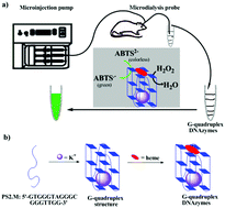 Graphical abstract: G-quadruplex DNAzymes-induced highly selective and sensitive colorimetric sensing of free heme in rat brain