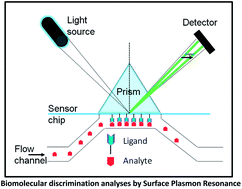 Graphical abstract: Biomolecular discrimination analyses by surface plasmon resonance